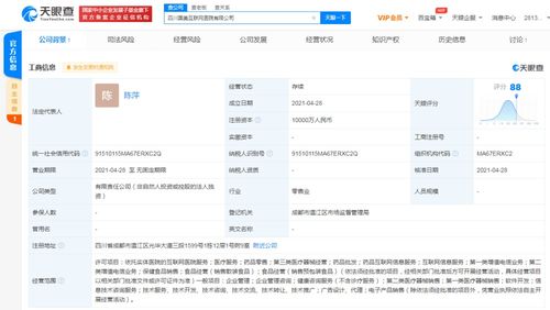 信息咨詢服務 數字化時代的智慧導航